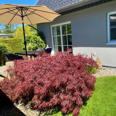 Ferienhaus Buhne 31 Prerow Exterior foto